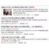 平阴朱安安：SEO外链代发行业大揭密